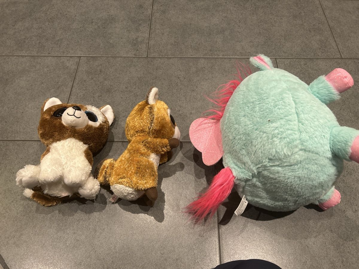 Spielzeuge: 3 Kuscheltiere von TY ca. 20-30 cm gross – Gebraucht aus Mühledorf SO von Dania77 3