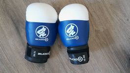 Boxhandschuhe Yoseikan 12 OZ