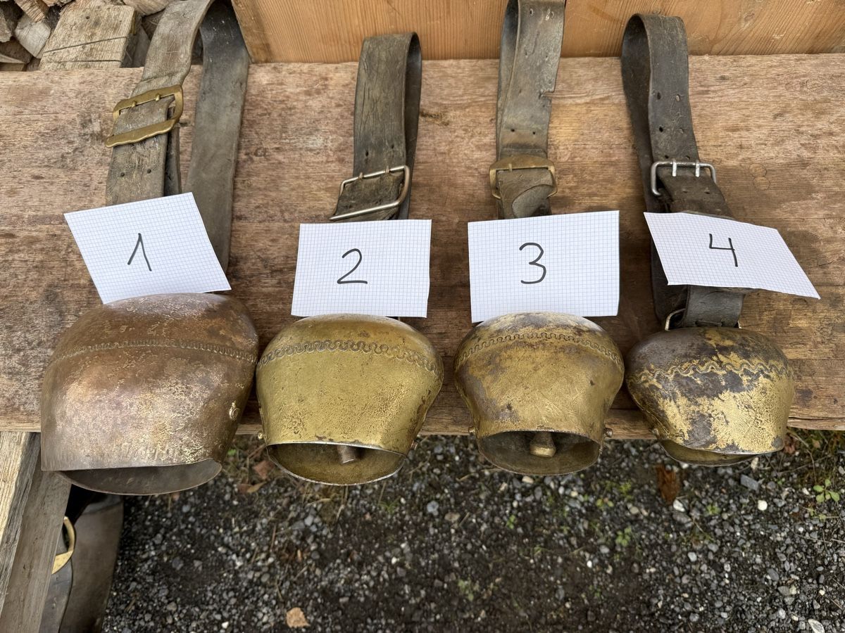 Campanacci mucche: Vier schöne Glocken – Usato da Sargans venduto da fox7320 6
