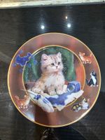Dekorative Sammelteller "Lustige Katzenstreiche", Top!
