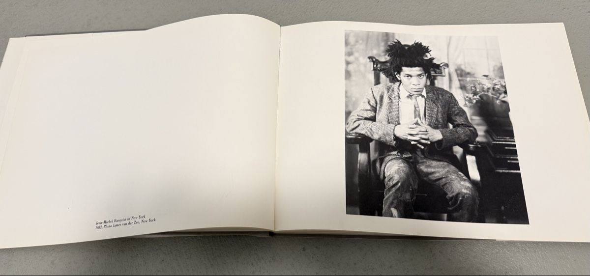 Livres: Basquiat, Jean Michel – Neuf (Voir description) à Dielsdorf par BGiezendanner 2