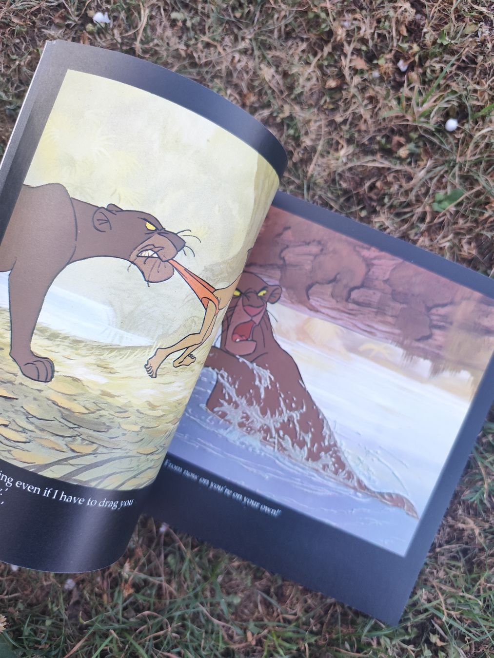 Bücher: Walt Disney The Jungle Book – Gebraucht aus Mägenwil von VintageGirly 4