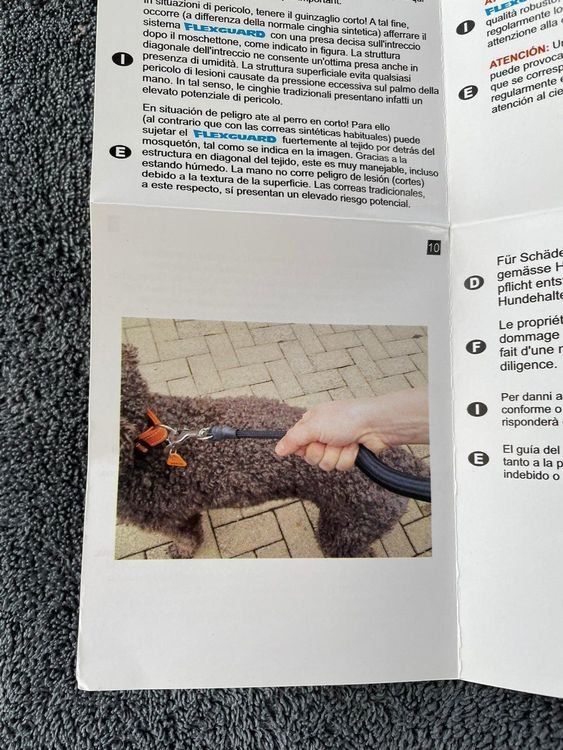 Guinzagli & Collari: Liquidation, FLEXGUARD Hunde Sicherheitsleinen/ 4000 Stk. – Nuovo e nell'imballaggio originale da Wängi venduto da LiqKojote 7