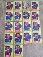 18 x Paninisticker 2026 / Cup verde