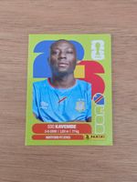 Panini Fifa COD 10