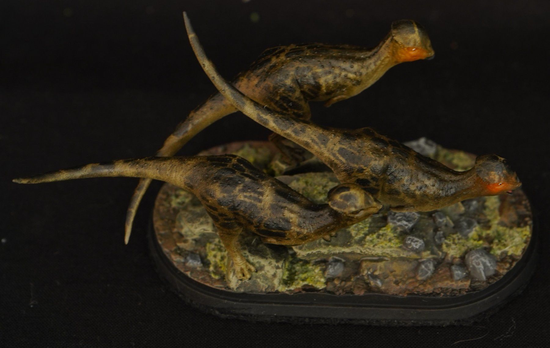 Statuette: Prenocephale 1:35 3D printed Model Dinosauria – Usato da Selzach venduto da Ataraxus 5