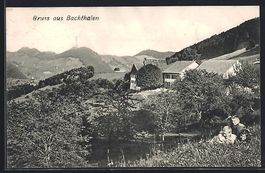 Bachthalen, Ortsansicht aus der Vogelsch