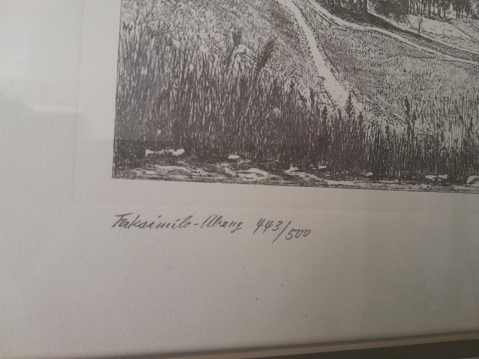 Grafica & Litografie: Landschaftsbild  Hans Zollinger – Usato da Rossrüti venduto da Hansi778 4