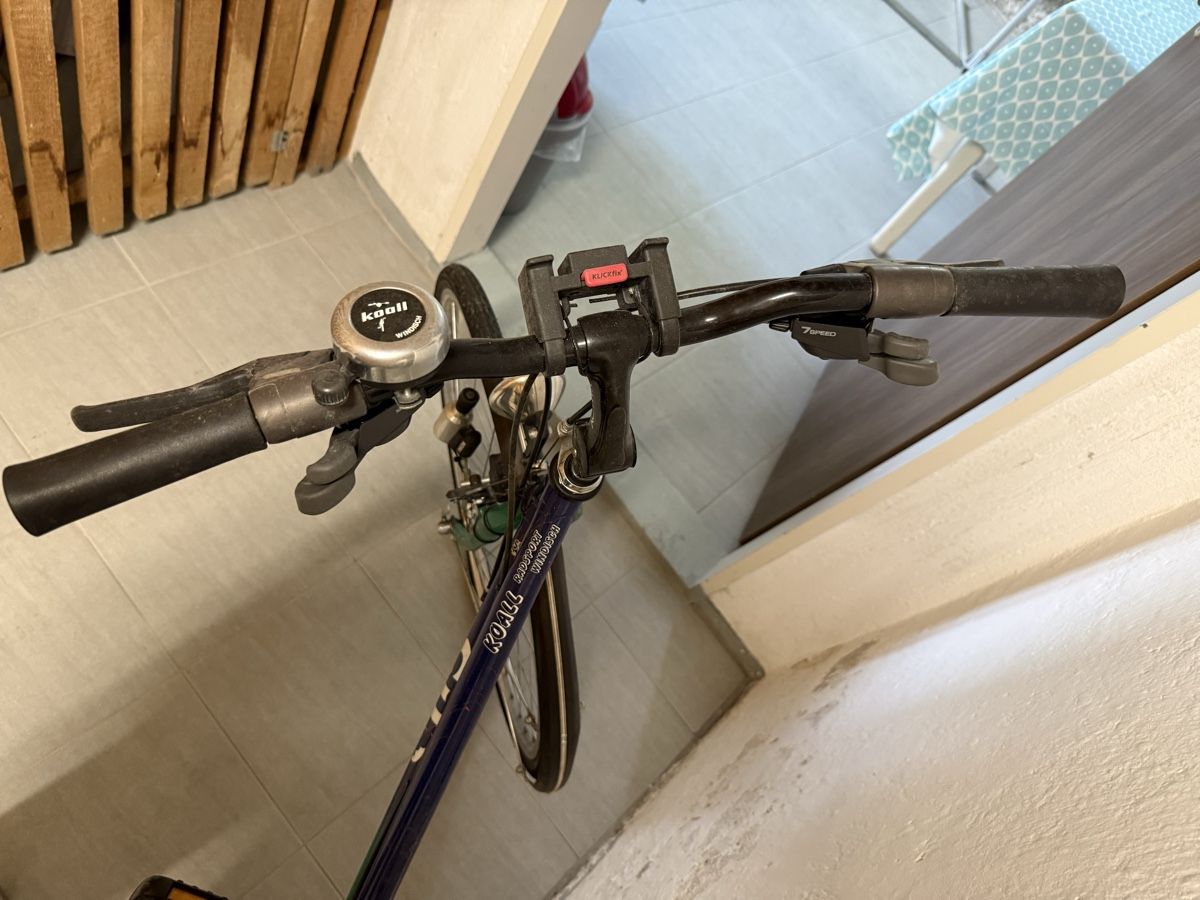Cilo Biciclette: Damen Velo – Usato da Winterthur venduto da Montreal63 6