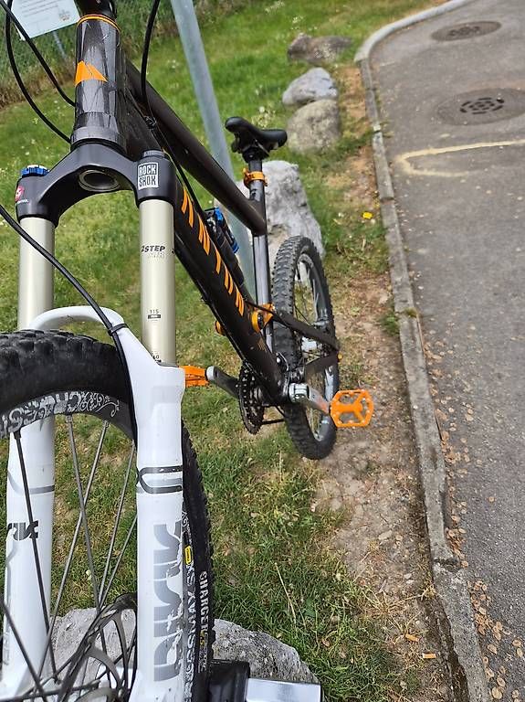 Biciclette: Canyon Torque Downhill / Freeride  Mavic  Gr. L – Usato da Steffisburg venduto da goo_7xkt 2