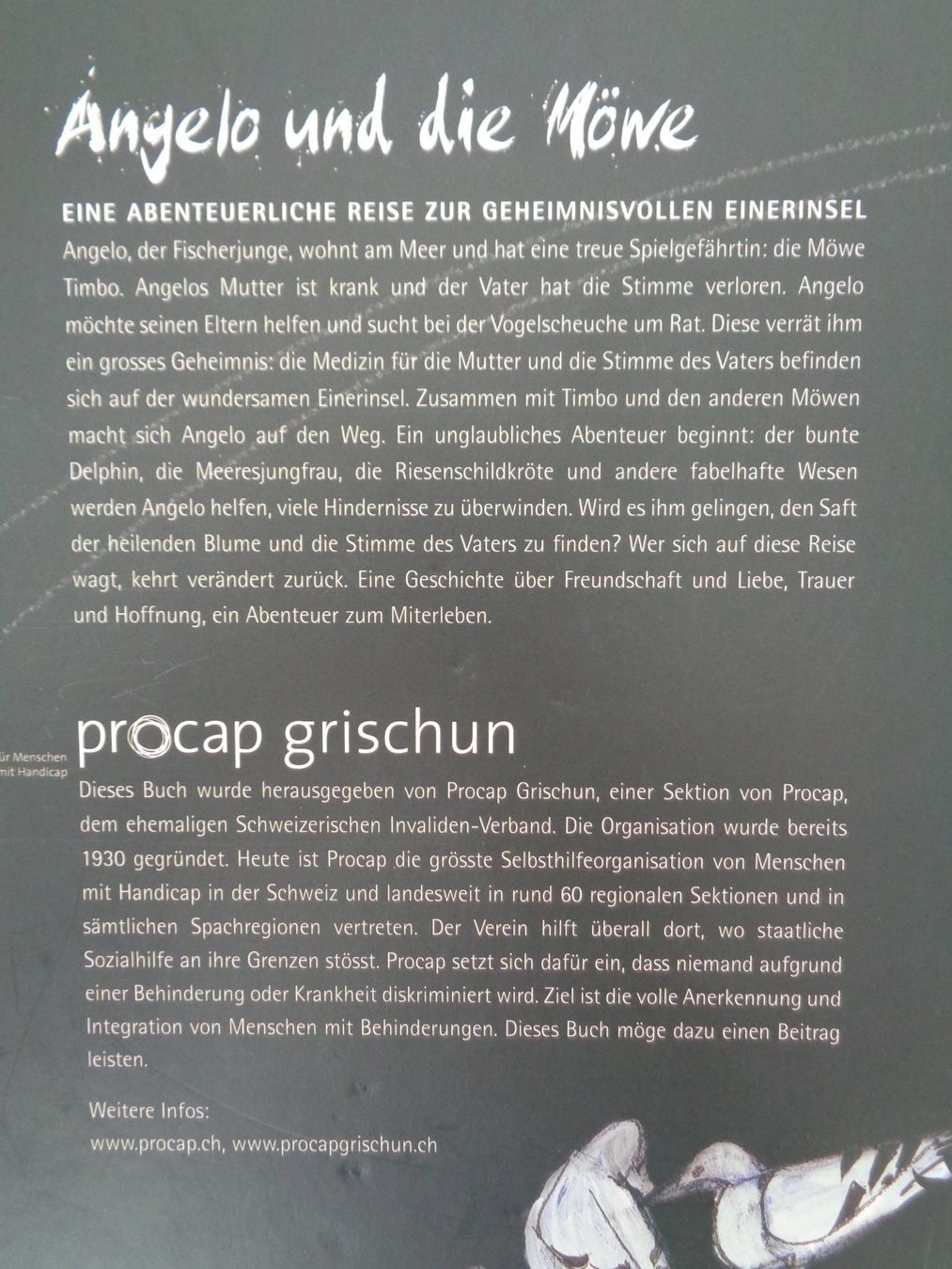 Libri: Angelo und die Möwe - Rudolf Mirer – Usato da Chur venduto da Oregano1 1