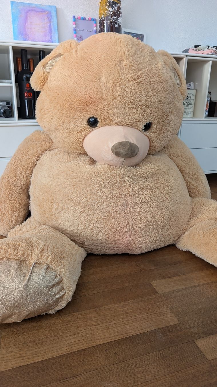 Giocattoli: Riesen Teddybär (150cm) – Usato da Männedorf venduto da Luethit