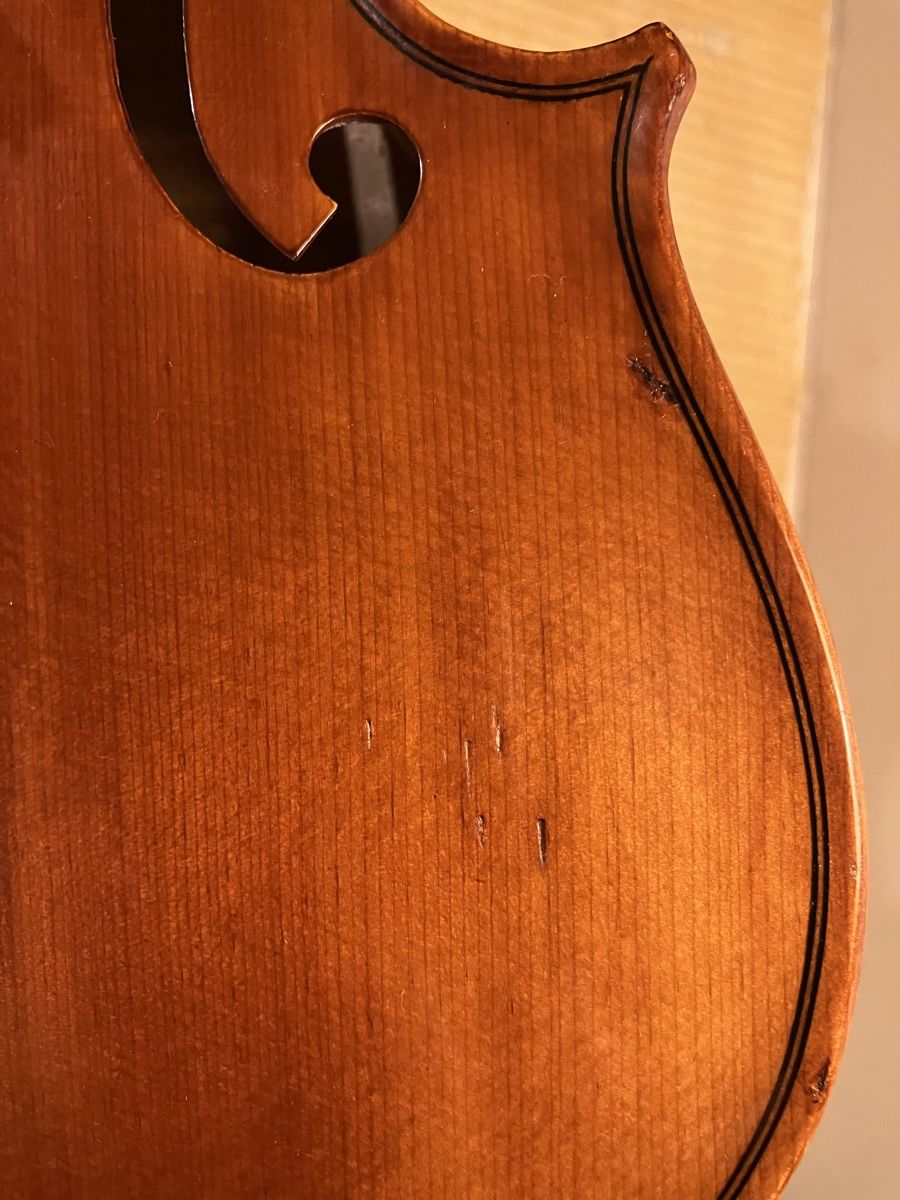 弦楽器 GEWA instrumentenbau MITTENWALD-ADORF ドイツ製 GEWA ROM