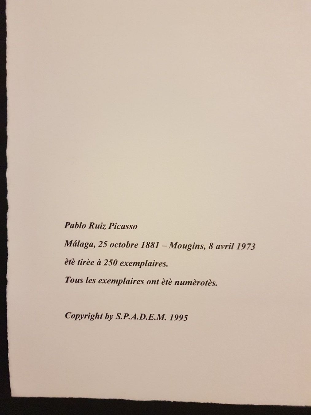 Grafica & Litografie: Pablo Picasso 50/250 – Nuovo (secondo la descrizione) da Glattbrugg venduto da casabelavista 5