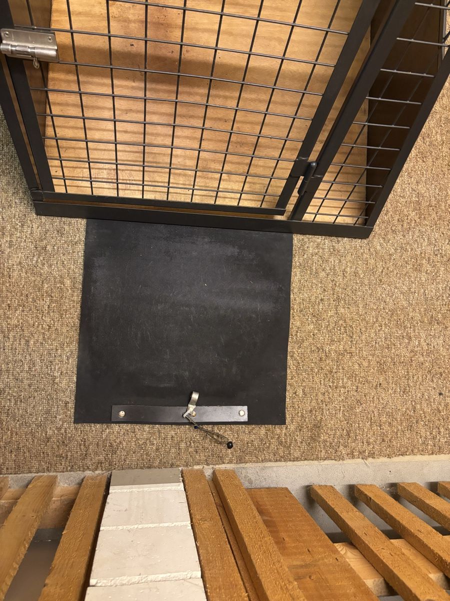 Gabbie, trasporto & Sicurezza: Hunde Transportbox – Usato da Koppigen venduto da Nihay