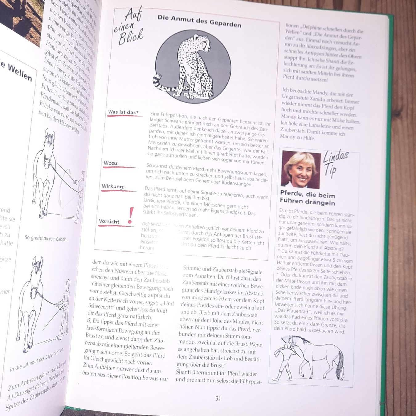 Libri: Tellington-Jones Reitschule – Nuovo (secondo la descrizione) da Riedikon venduto da cor_7jcd 5
