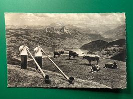 Alphornbläser auf Rigi-Kulm