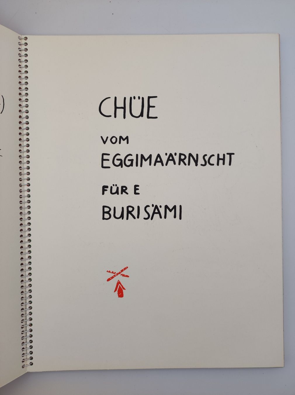 Bücher: ARTISTS BOOKS - EGGIMANN - BURI - CHÜE – Gebraucht aus Goldach von Gaip 7