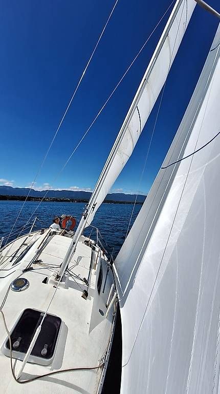 Bateaux: Voilier Verl 790 – D'occasion à Cartigny par guyoche 3