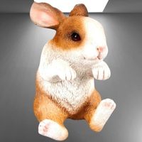 🐰 Süßer Klopfer/Kletterhase 🐇💫