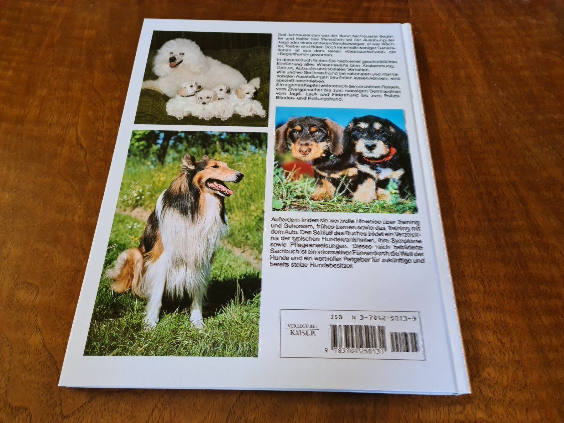 Libri: Das grosse Hunde Buch – Usato da Erstfeld venduto da Uhu1980 1
