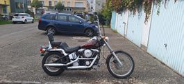Harley9- Davidson Softail Custom