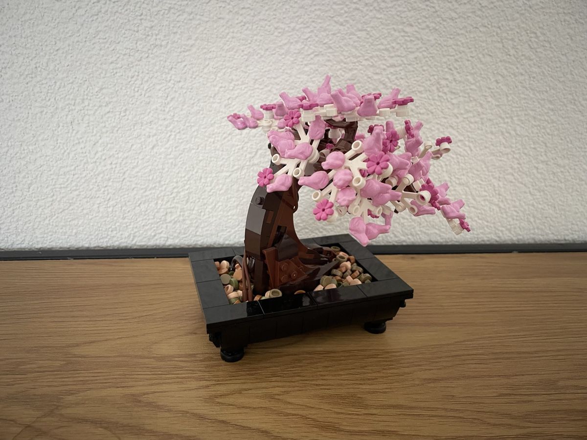 Lego Spielzeuge: LEGO Bonsai Baum 10281 – Gebraucht aus Wittenbach von Pingu03 2