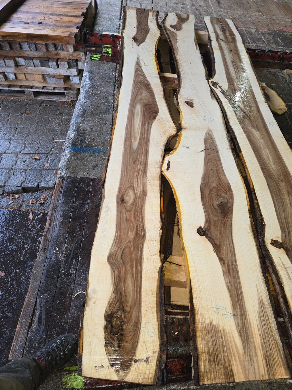 Articoli in legno: Nussbaumbrett Nr. N91 – Nuovo (secondo la descrizione) da Ramsei venduto da Waelchris 1