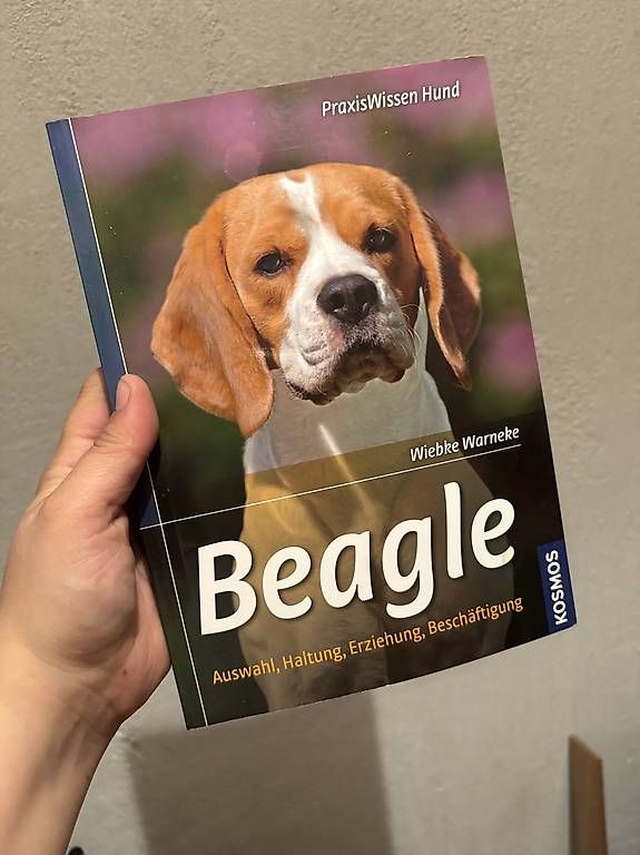 Libri: Diverse Beagle Ratgeber – Usato da Untervaz venduto da Calimera1997 2