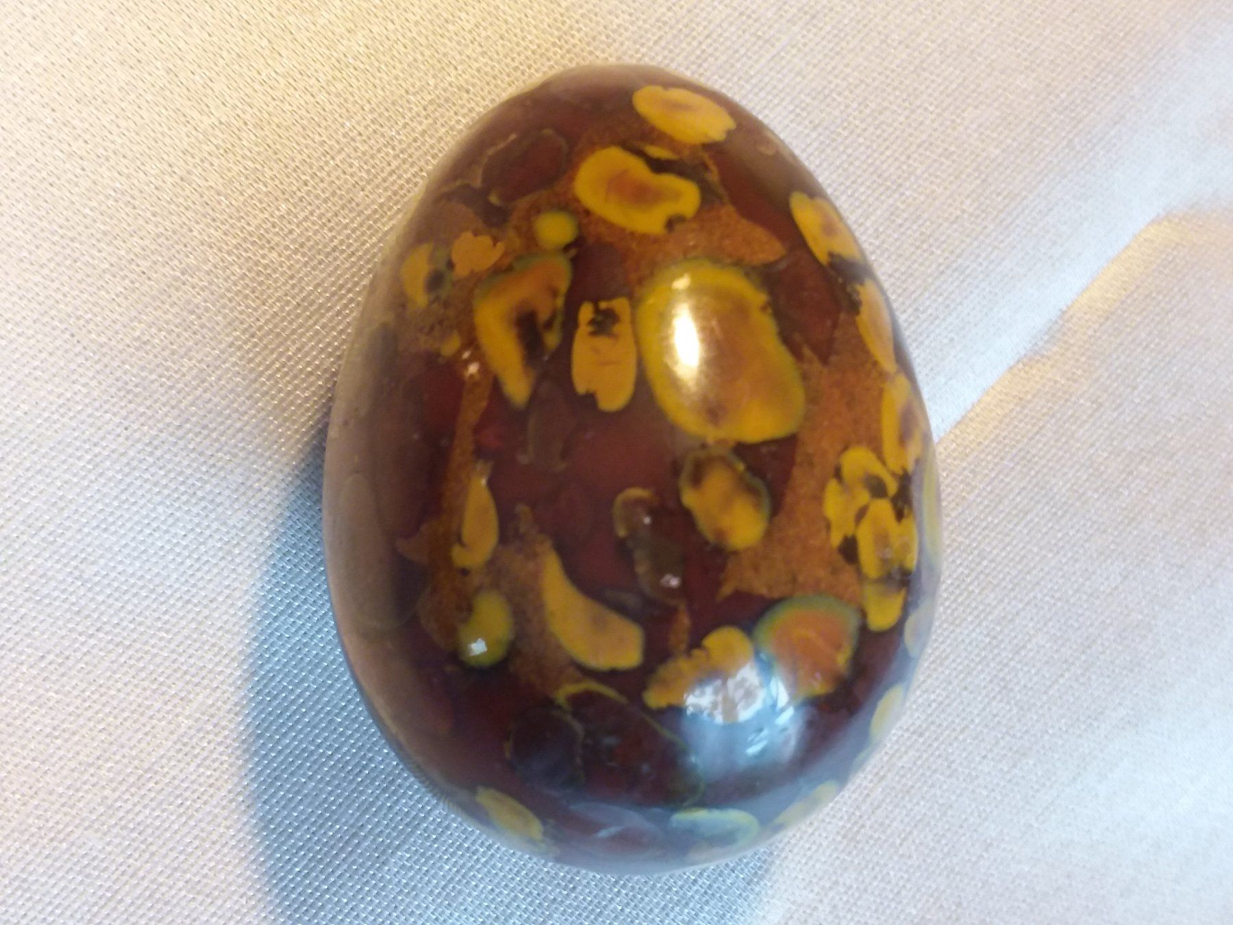 Fossili: Fossiles Korallen Ei, Jasper, Mineral – Usato da Zürich venduto da helsan 7