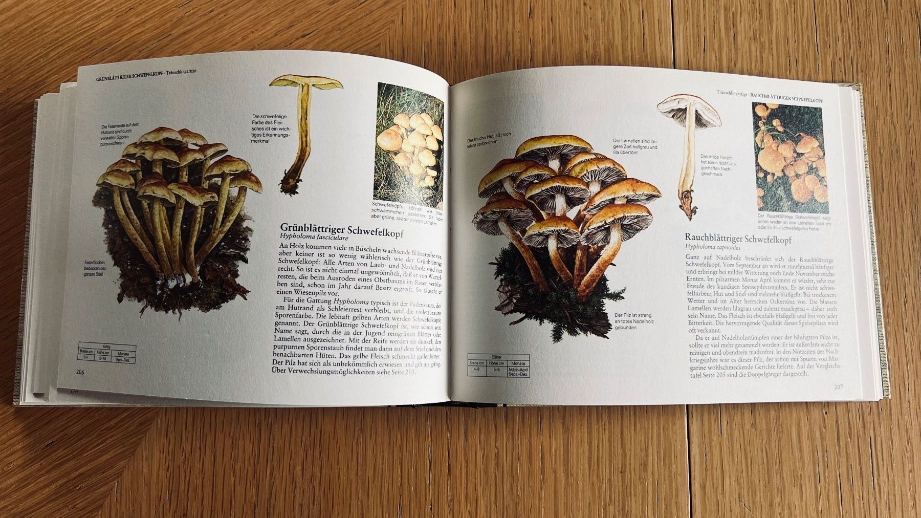 Libri: Pilze Mitteleuropas - Wegweiser Natur,1982 – Usato da Schübelbach venduto da Bemafaja 6