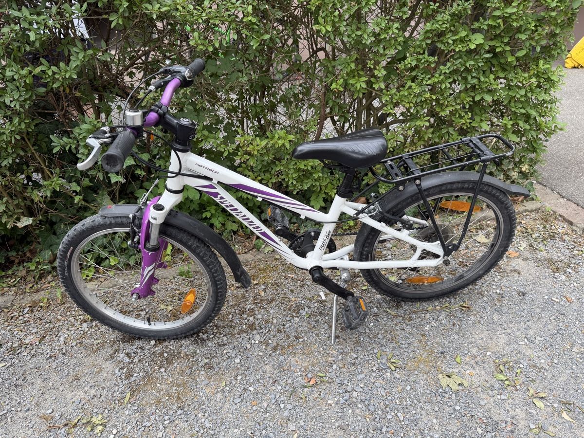 Specialized Biciclette: Kindervelo 20 Zoll Specialized Hotrock – Usato da Zürich venduto da tamarenzl 1