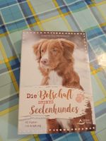 Karten Seelenhund Anleitung Schirmer Verlag 40 Karten