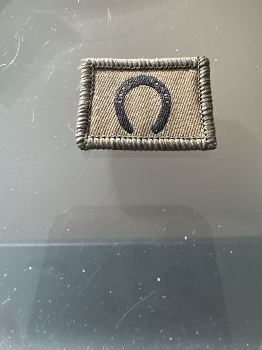 Schweizer Armee Patches: Schweizer Armee Späher Funktionsabzeichen Original – Gebraucht aus Morbio Inferiore von Ecod