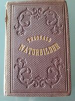 Naturbilder aus den Rhätischen Alpen. Illustriert von 1862 !