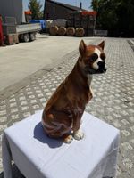 Chien boxer en céramique 