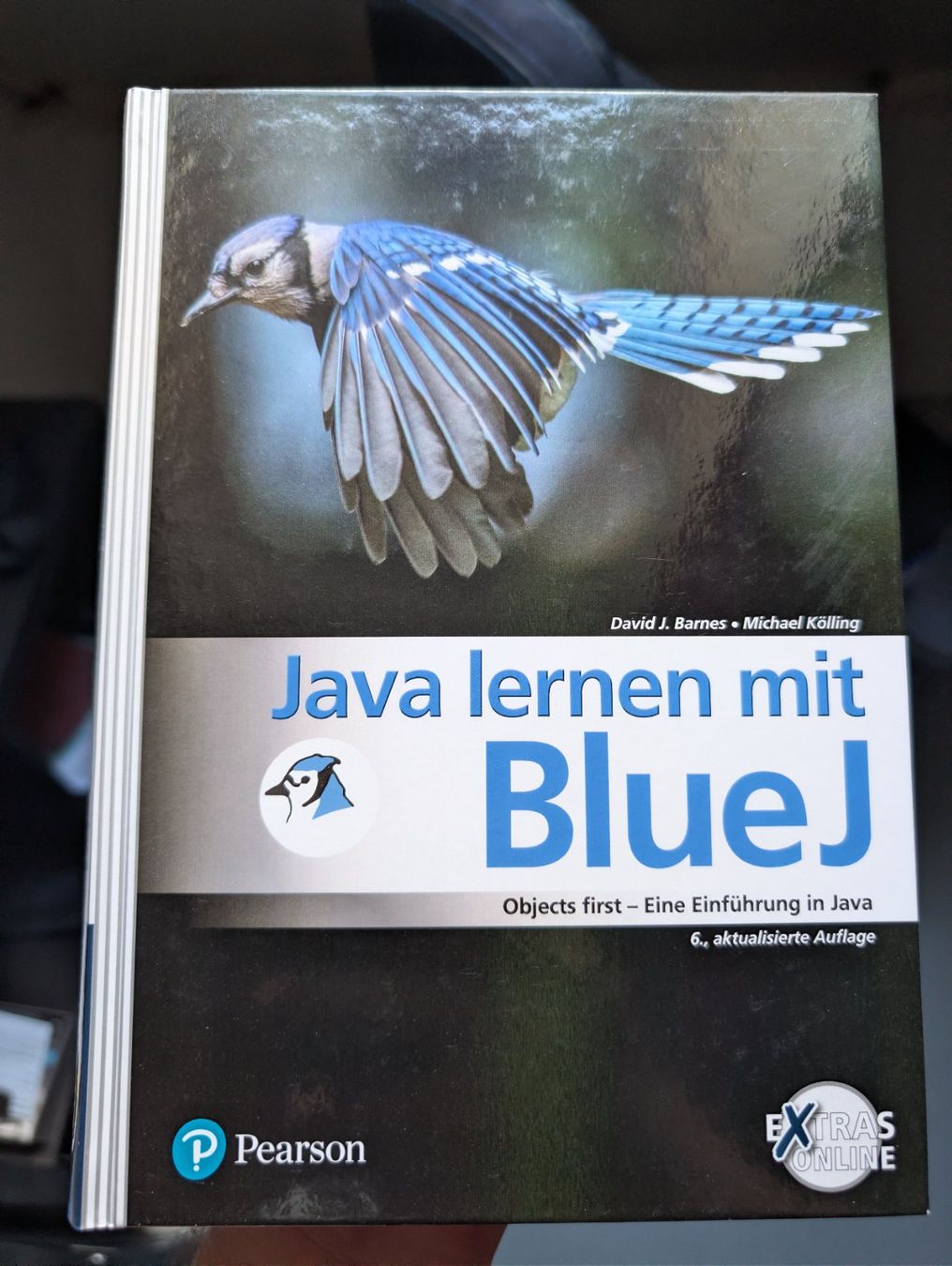 Libri: Buch: Java lernen mit BlueJ – Nuovo e nell'imballaggio originale da Flurlingen venduto da Loris0018