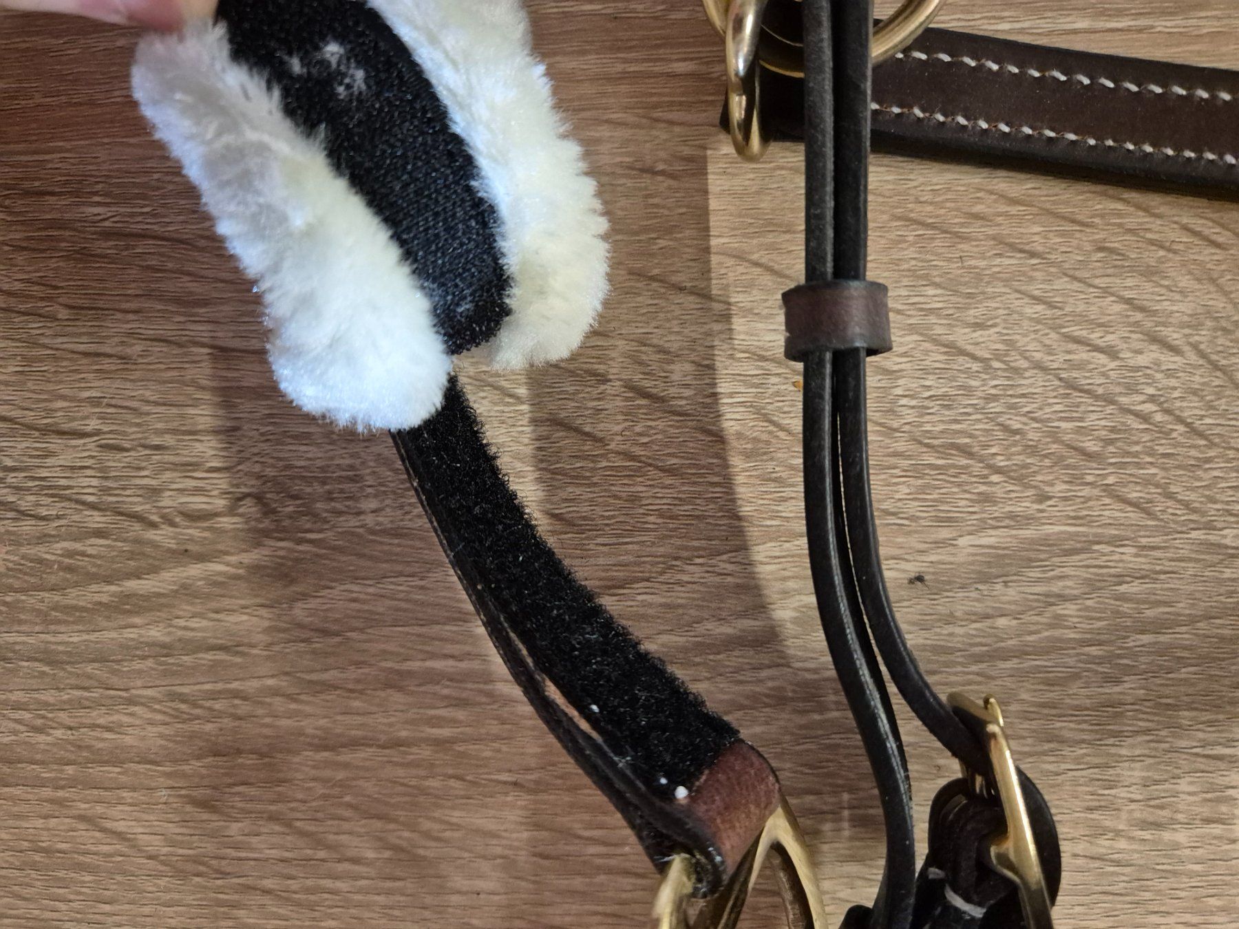 Zaumzeug & Halfter: Leder Halfter Cob – Gebraucht aus Meggen von Orrinka20 2