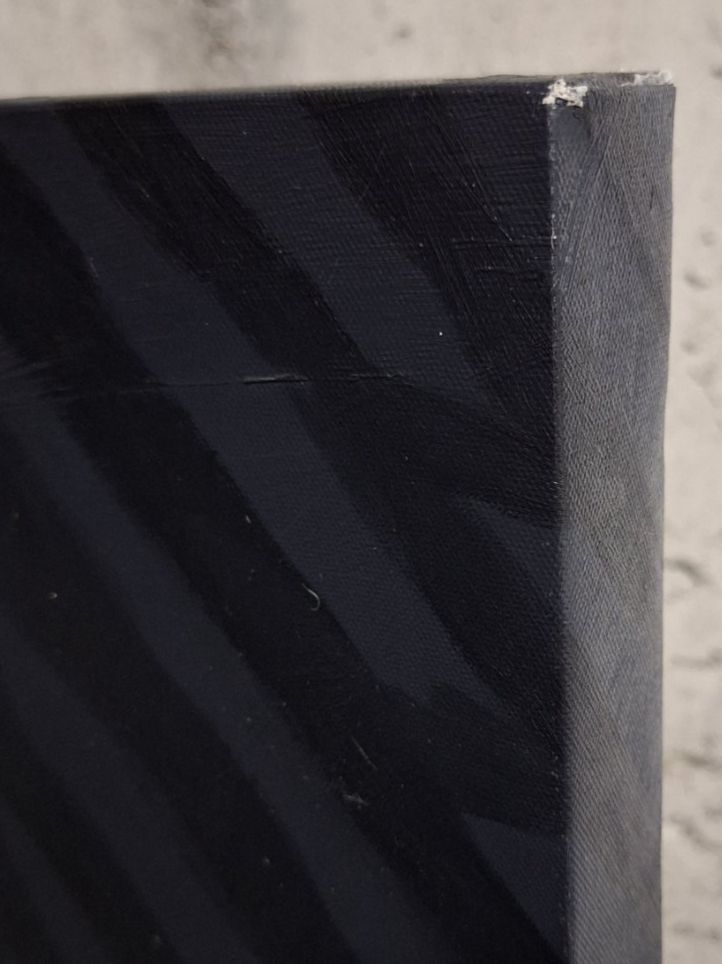 Poster & Bilder: Zebra Leinwand ca. 150x75 cm – Gebraucht aus Wettingen von clue 3