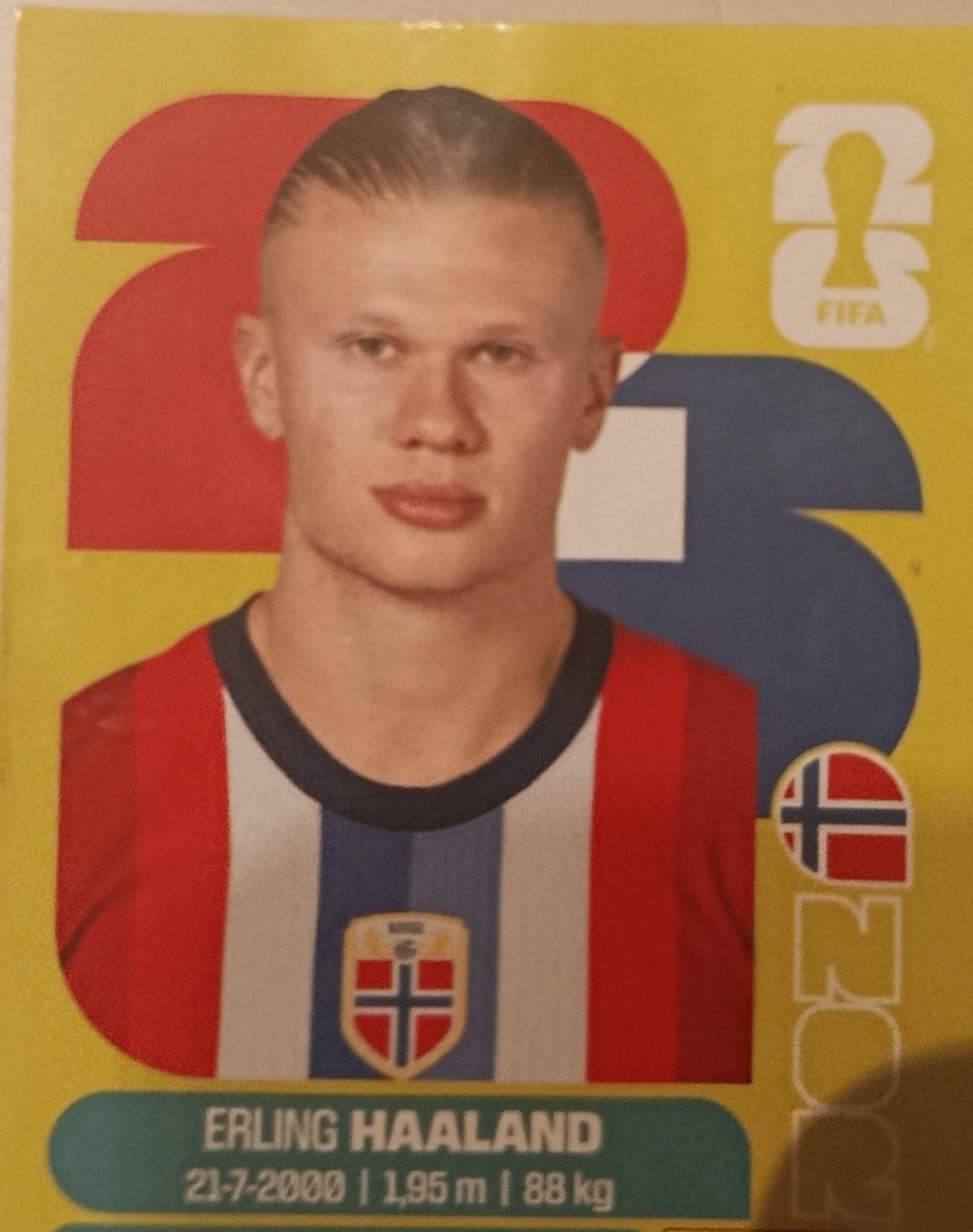 Panini Cartes à collectionner: Haaland Panini NOR 15 – D'occasion à Escholzmatt par Gingeraile