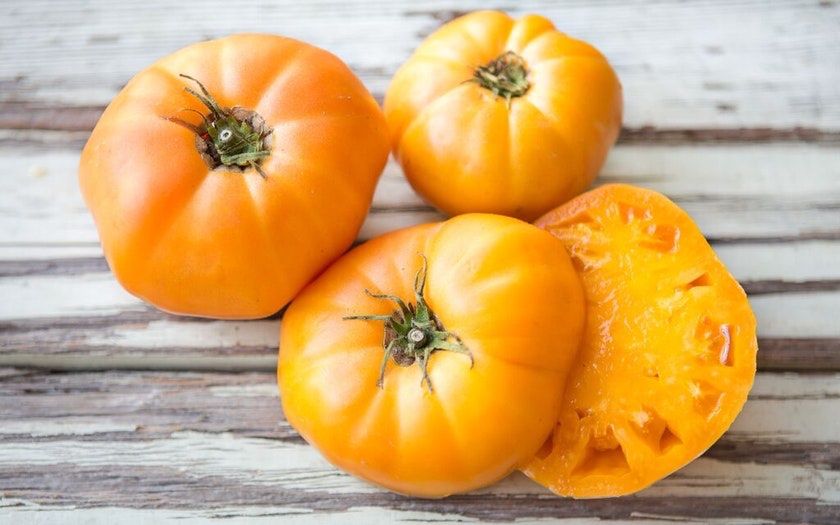 Piante & sementi: 20 Samen BRANDYWINE YELLOW Tomate – Nuovo (secondo la descrizione) da Ehrendingen venduto da VerveinaSamen 2