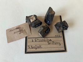 4 Staurolites twin crystals, Britanny, ex. Seybert, ANSP