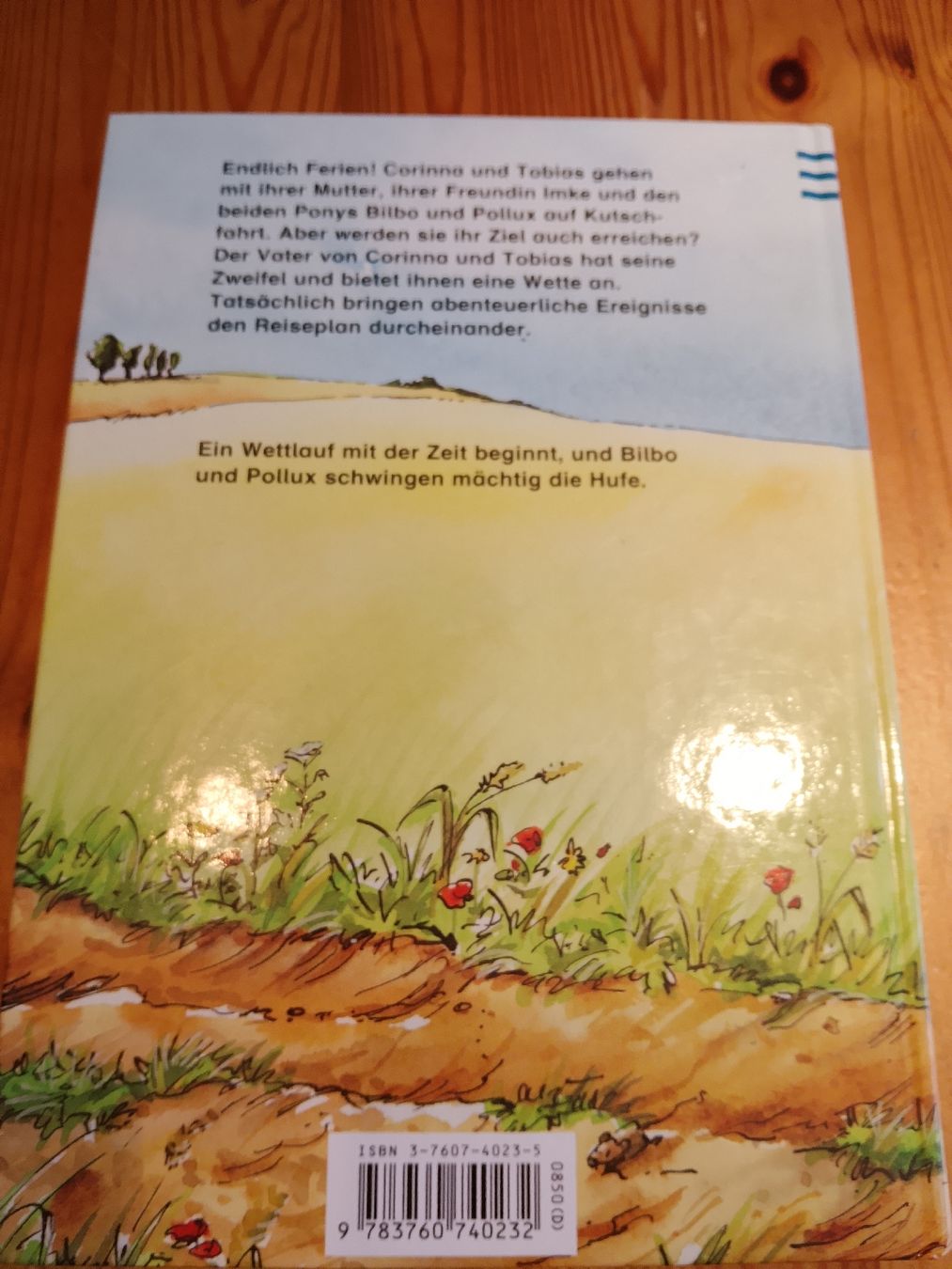 Libri: zwei Ponys machen Ferien  – Nuovo (secondo la descrizione) da Volken venduto da katz5 2