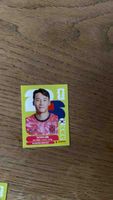 Panini Sticker Taeseok Lee FK Austria Wien gebraucht