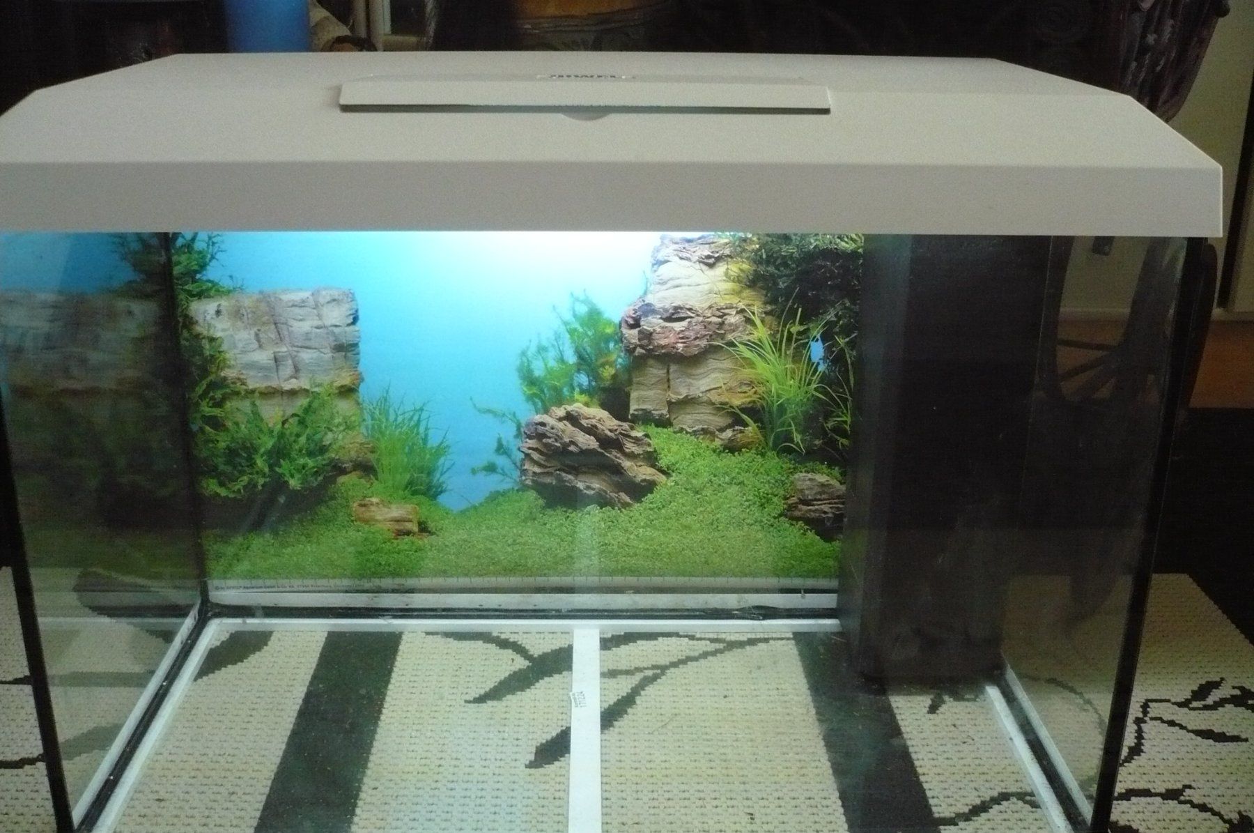 Juwel Acquari: AQUARIUM NEUWERTIG – Usato da Effretikon venduto da ricobrandalise