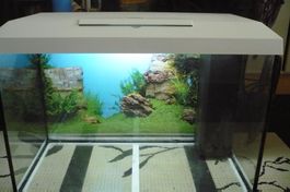 AQUARIUM NEUWERTIG