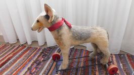 Rarität: antiker Steiff Hund auf Holzrädern