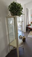 Wie NEU: Vitrine "Fabrikör" von Ikea