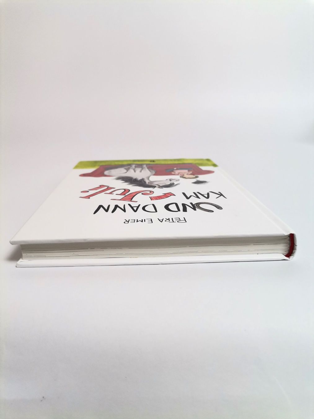 Libri: BUCH Und dann kam Juli – Usato da Schaffhausen venduto da Restwert_SH 5