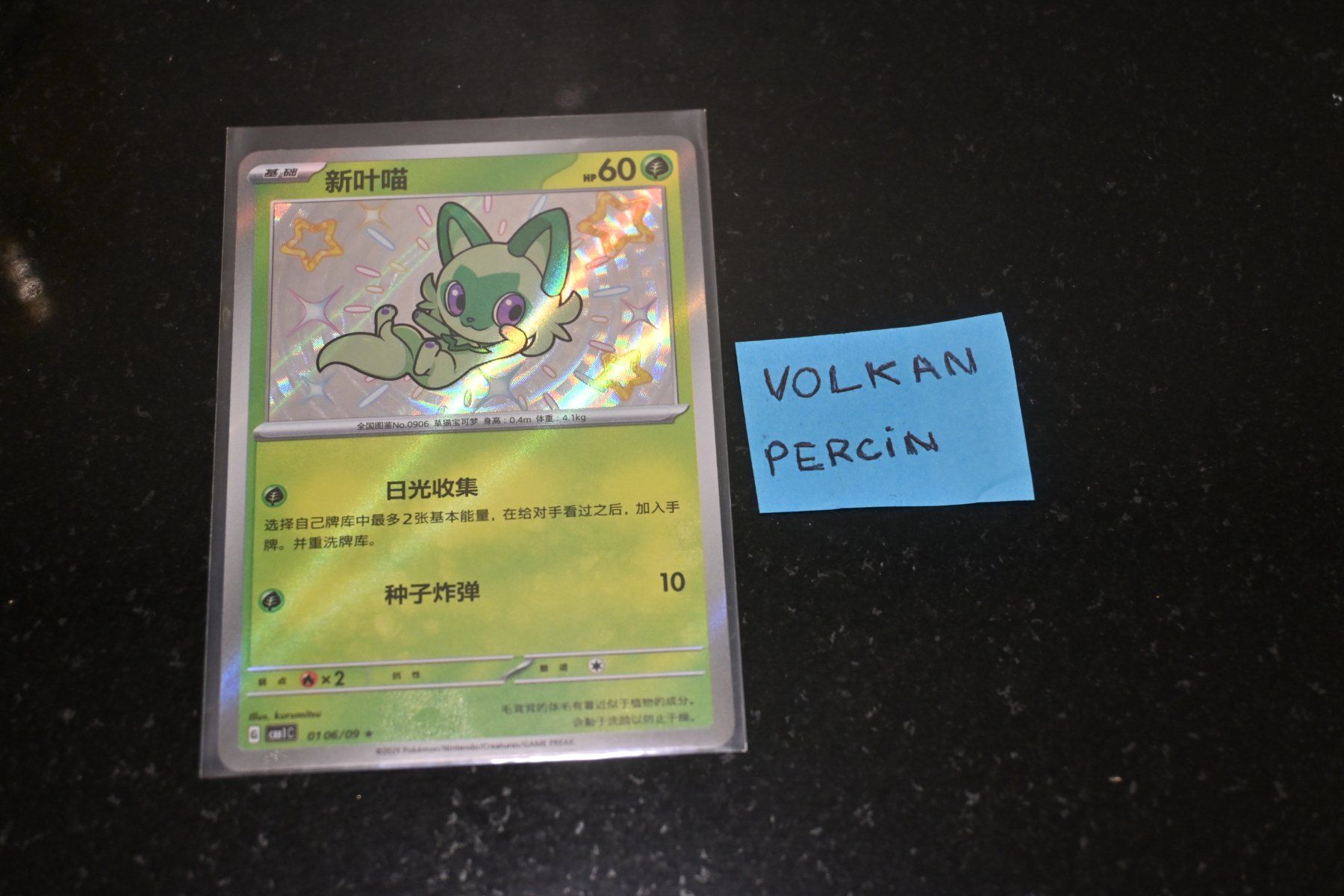 Pokémon Carte collezionabili: Poussacha (CBB1C 01) Chinese – Nuovo (secondo la descrizione) da Aigle venduto da PSAPOKEVOVO